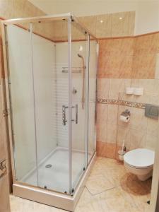 een badkamer met een douche en een toilet bij Rewita Rusałka in Sopot