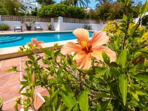 Fotografia z galérie ubytovania Holiday Home Janine by Interhome v destinácii Jávea