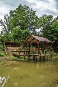 a wooden pavilion next to a body of water at La Balta in Vadul lui Carol II