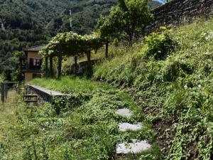 a path on the side of a hill with a house at Apartment Casa Capriccio-3 by Interhome in Intragna