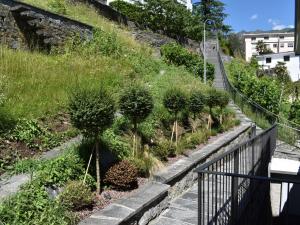 a walkway with bushes and trees on a hill at Apartment Casa Capriccio-3 by Interhome in Intragna