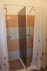 a shower with a glass door in a bathroom at Peregi Vendégház in Mezőhegyes