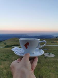 uma mão segurando uma xícara de café em um prato em Tumova koča na Slavniku em Podgorje
