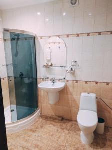 a bathroom with a toilet and a shower and a sink at Готель Преміум in Lviv