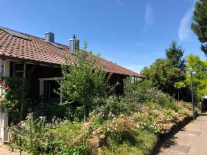 a garden in front of a house with flowers at Luther20 in Insheim