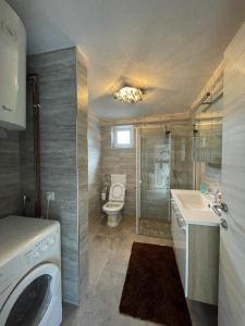 een badkamer met een toilet, een wastafel en een wasmachine bij Apartmani Unski Biser in Cazin