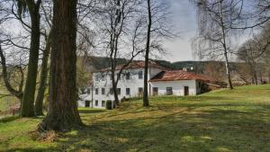 a white house on a hill with trees at Nezámek in Hartmanice