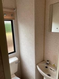 a small bathroom with a toilet and a sink at Chalet Westmoreland in De Pol