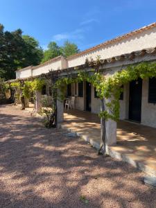 a building with a bunch of vines on it at Les Lodges de la Plage U Dragulinu in Sari Solenzara