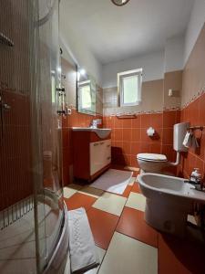 ein Badezimmer mit Toilette, Waschbecken und Dusche in der Unterkunft Casa Jasmin in Bran + 73 Fotos