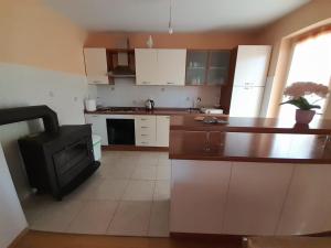Kuchyň nebo kuchyňský kout v ubytování Holiday Home Anita