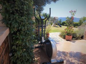 Zahrada ubytování Villa Casa Belvedere near Dubrovnik
