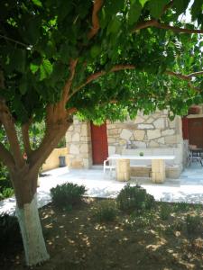 a tree with a bench in front of a building at APARTMENTS BY THE SEA in Gázion