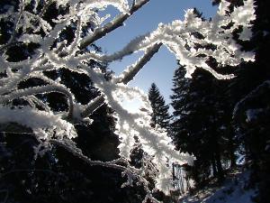 Obiekt Landhotel Lacknerhof zimą