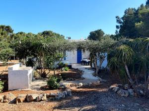 A garden outside Villa Debora Favignana (TP)