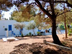 A garden outside Villa Debora Favignana (TP)