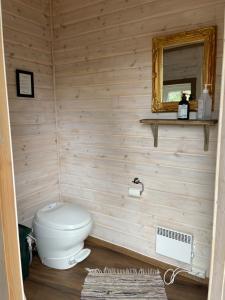 Kúpeľňa v ubytovaní Mikrohyttene Moen Ranch