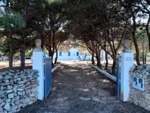A garden outside Villa Debora Favignana (TP)