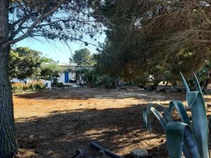A garden outside Villa Debora Favignana (TP)