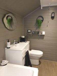 uma casa de banho com WC, lavatório e espelhos em Rosedale a charming detached 4 bedroom cottage. em Brixham