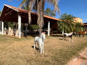 dos caballos parados en el césped frente a una casa en Hotel Fazenda Flamarion en Lagoa Santa