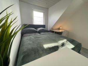 - une chambre avec un lit et une plante dans l'établissement Design Apartment am CentrO mit Homeoffice Balkon und WIFI, à Essen