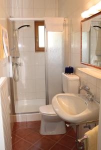 a bathroom with a toilet and a sink and a shower at Haus Tirolerland in Mayrhofen