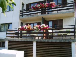 Guest House Raukar的阳台或露台