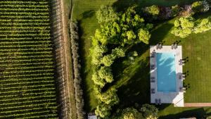 Bazén v ubytovaní Agriturismo Moscatello alebo v jeho blízkosti