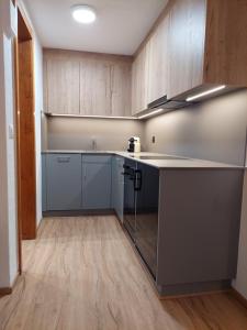 Kuchyň nebo kuchyňský kout v ubytování Modernes Studio Zermatt