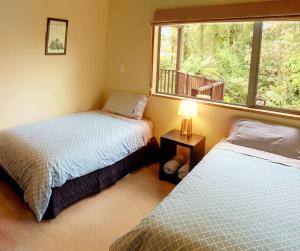 1 dormitorio con 2 camas y ventana en The Ferns Hideaway en Franz Josef