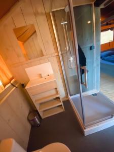 an overhead view of a bathroom with a shower at camping?glamping morskersweitje in Winterswijk