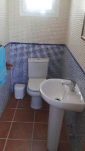 a bathroom with a toilet and a sink at Apartamento Antonia 2 in Agua Amarga