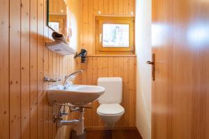 a bathroom with a toilet and a sink at Chalet Kira mit Hotpot in Bellwald