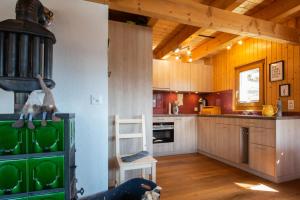 Gallery image of Chalet Kira mit Hotpot in Bellwald