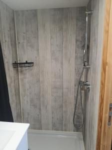 a bathroom with a shower with a shower head at Domaine Pinsol in Uchacq-et-Parentis +2 photos