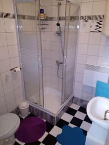 a bathroom with a shower and a toilet and a sink at Kuća za odmor Jasmin in Sveti Martin na Muri