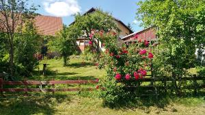 um jardim com rosas numa cerca e uma casa em Ferienwohnung Vreni em Gersfeld