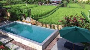 een zwembad met een parasol naast een tuin bij Room in Villa - Villa - Warung AromaChampuhan in Mayong