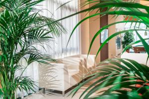 Vonkajšia záhrada v ubytovaní Hotel Royal