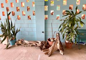 Foto sihtkohas Vieques asuva majutusasutuse Esperanza Inn Guesthouse galeriist