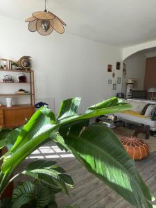 Zdjęcie z galerii obiektu Appartement romantique proche plage prado Perrier w Marsylii