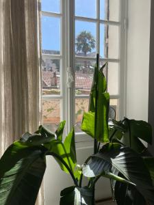 Zdjęcie z galerii obiektu Appartement romantique proche plage prado Perrier w Marsylii