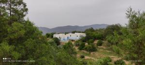 Un paisaje natural cerca of the country house