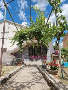 Zahrada ubytování Holiday house few minutes from center of Sinj