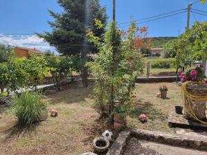 Zahrada ubytování Holiday house few minutes from center of Sinj