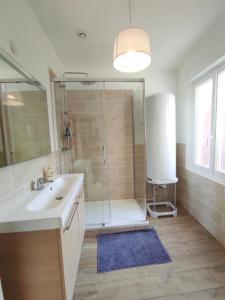 a bathroom with a shower and a sink at Les Nuits Bonneuilloises Le Percheron in Breteuil