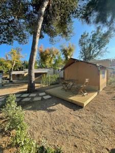 une chaise assise sur une plate-forme en bois sous un arbre dans l'établissement KT-0094 Magnífica Tienda Tipi - Camping Miramar Playa, à Torredembarra