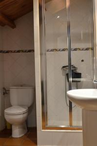 a bathroom with a toilet and a shower and a sink at Casa Dos Cregos in Bascuas