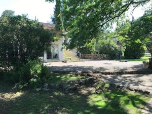 pies stoi przed domem w obiekcie Très grande Villa pour 1 famille ou plusieurs... w mieście Valbonne